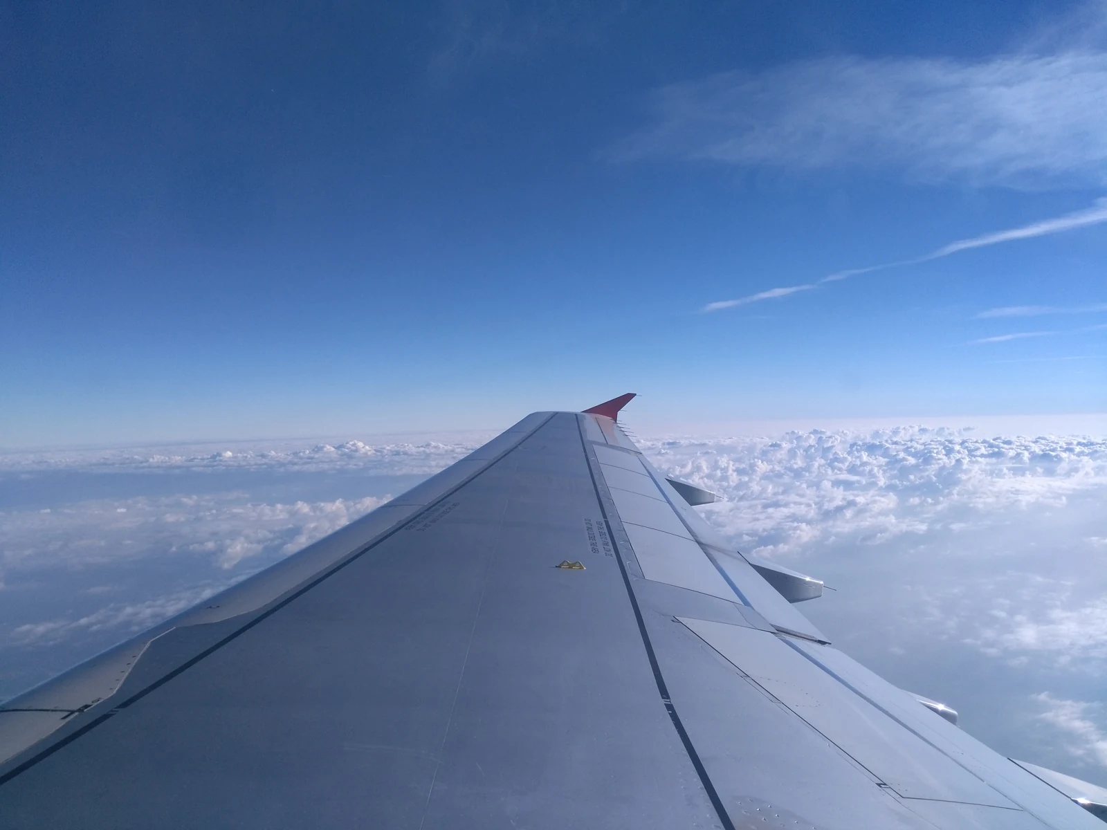 Best Credit Cards for Flight Delays and Cancellations: Trip Delay, Cancellation and Lounge Cover 2026